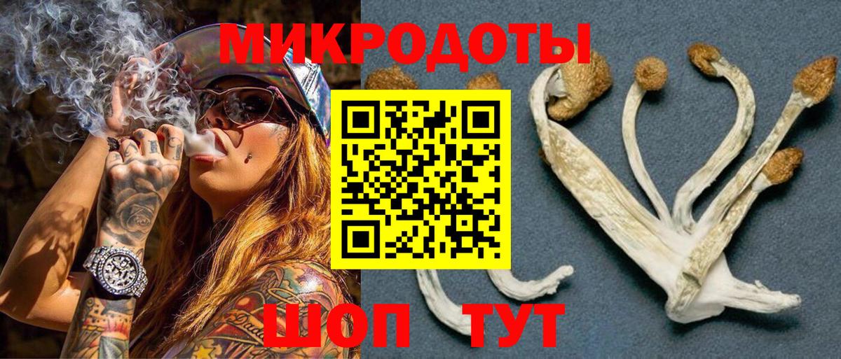 Майкоп  Галлюциногенные грибы MAGIC MUSHROOMS  Вход с VPN 