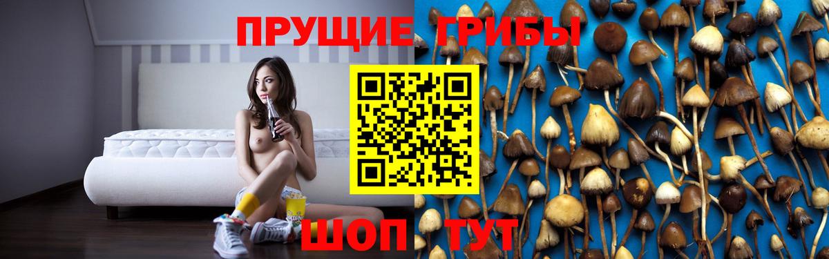 Галлюциногенные грибы прущие грибы Майкоп